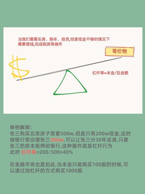 杠杆比例计算_怎么杠杆买股票_金融杠杆原理